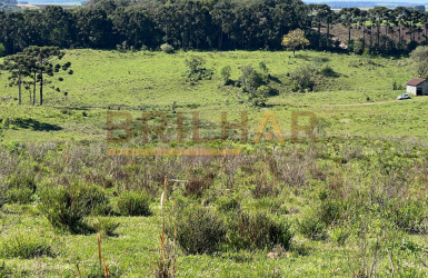 Área Rural para comprar em Vila Oliva