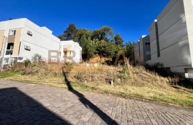 Terrenos para comprar no bairro Vinhedos em Caxias do Sul