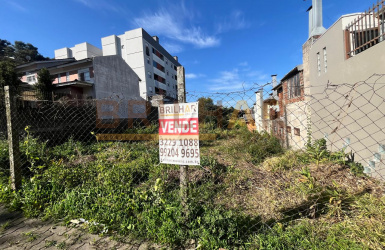 Terreno para comprar no bairro Santa Catarina em Caxias do Sul