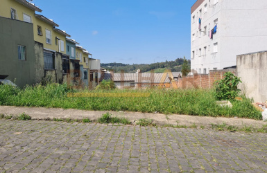 Terreno  comprar bairro São Giacomo