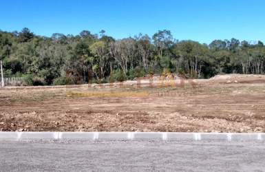 Terreno comprar bairro São Giacomo