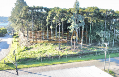 Terreno a venda no bairro Ana Rech