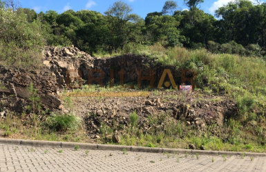 Terreno  Bairro Videiras flores da cunha