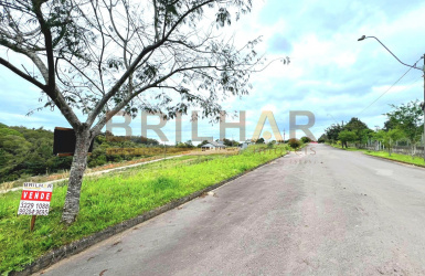 Terreno comprar bairro Monte Bérico