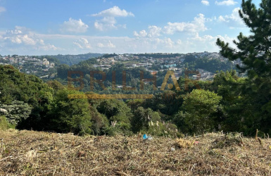 Terreno à venda no bairro Vila Verde